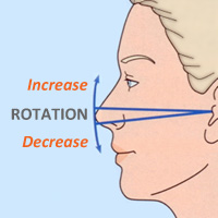 Tip Rotation